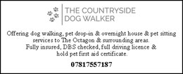 The Countryside Dog Walker