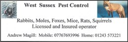 West Sussex Pest Control