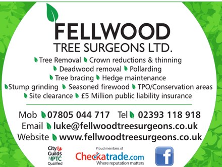 Fellwood Tree Surgeons Ltd